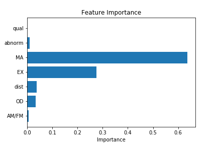 Feature Importance
